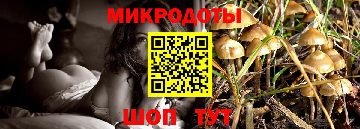 Петропавловск-Камчатский  цены наркотик  Псилоцибиновые грибы мицелий  Вход с VPN  Галлюциногенные грибы Psilocybine cubensis 