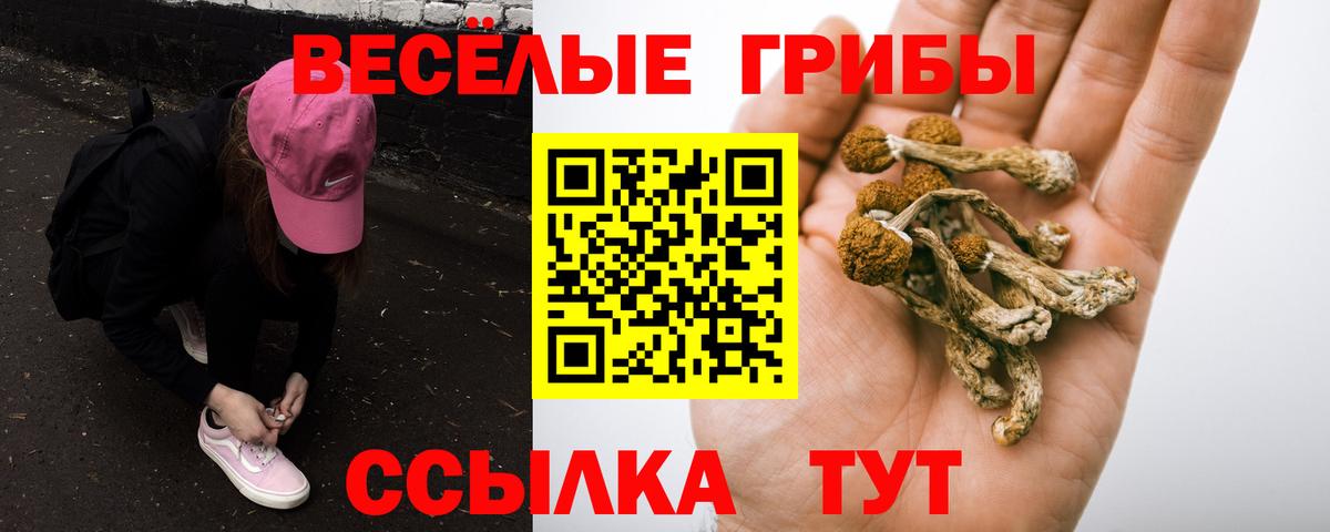 Галлюциногенные грибы MAGIC MUSHROOMS Петропавловск-Камчатский